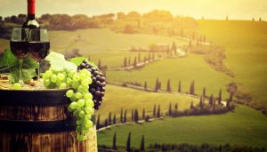 Top 6 Famous Wine Regions in Italy | This is Italy