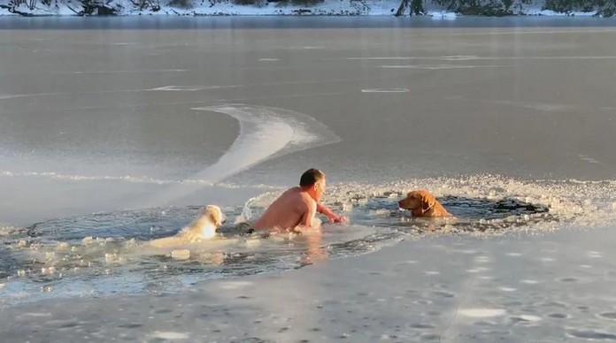 Man Jumps into cold Waters to save Dog’s life